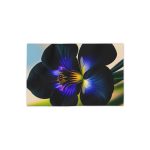 Black Orchid Bathroom Towel - An Escape for Your Senses!
