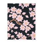 DreamCatcher⢠Slumber Breeze đ Velveteen Minky Blanket