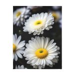 You're a Daisy if You Do 🌼 Double Daisy Minky Blanket 🤠