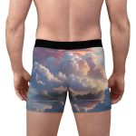 Head in the Clouds Men's Boxer Briefs ☁️✈️