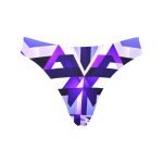 RetroRadiance™ Thong Panties - Vintage Vibes for Modern Mavens